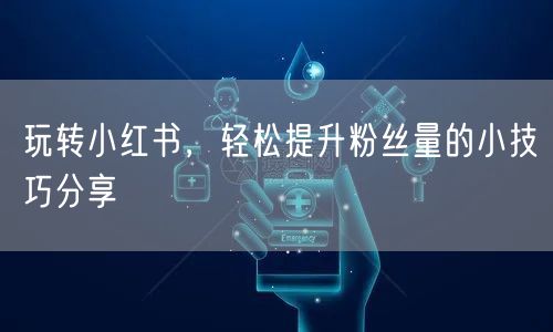 玩转小红书，轻松提升粉丝量的小技巧分享