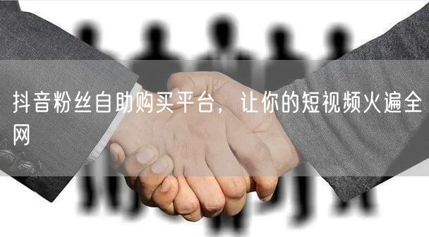 抖音粉丝自助购买平台，让你的短视频火遍全网