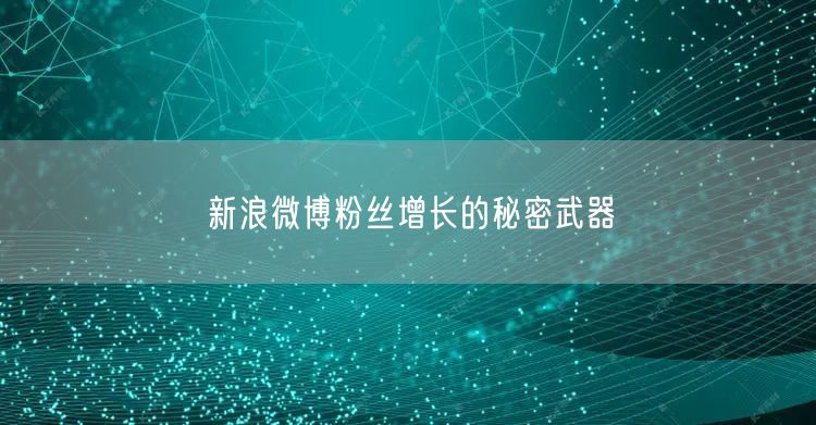 新浪微博粉丝增长的秘密武器