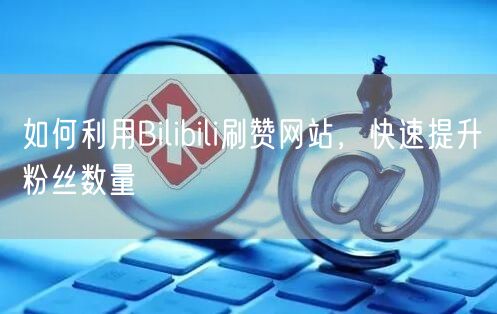 如何利用Bilibili刷赞网站，快速提升粉丝数量