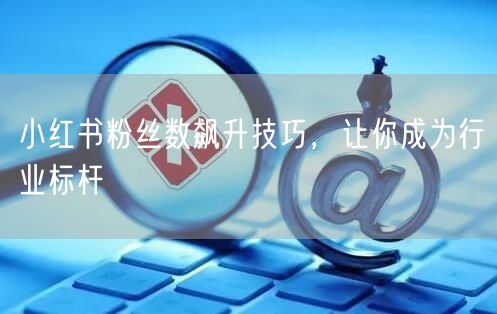 小红书粉丝数飙升技巧，让你成为行业标杆