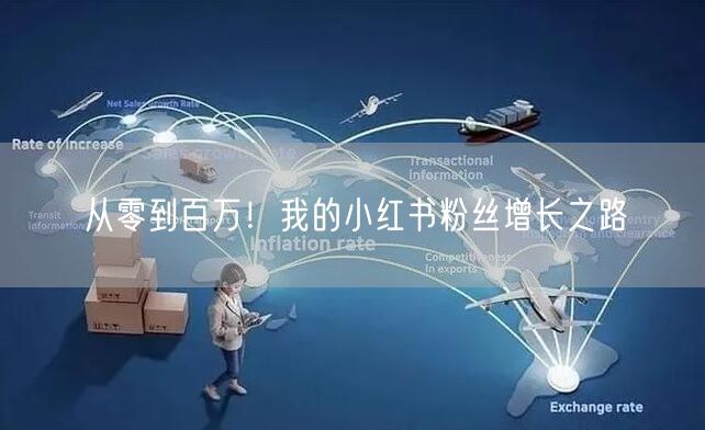 从零到百万！我的小红书粉丝增长之路