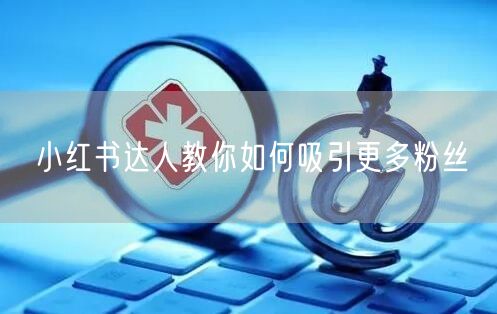 小红书达人教你如何吸引更多粉丝