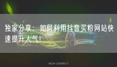 独家分享：如何利用抖音买粉网站快速提升人气！