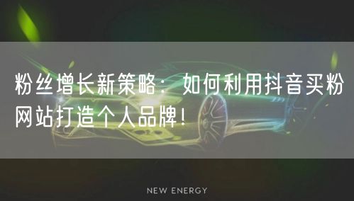 粉丝增长新策略：如何利用抖音买粉网站打造个人品牌！