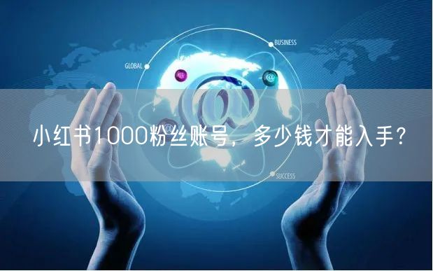 小红书1000粉丝账号，多少钱才能入手？