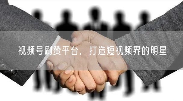 视频号刷赞平台，打造短视频界的明星