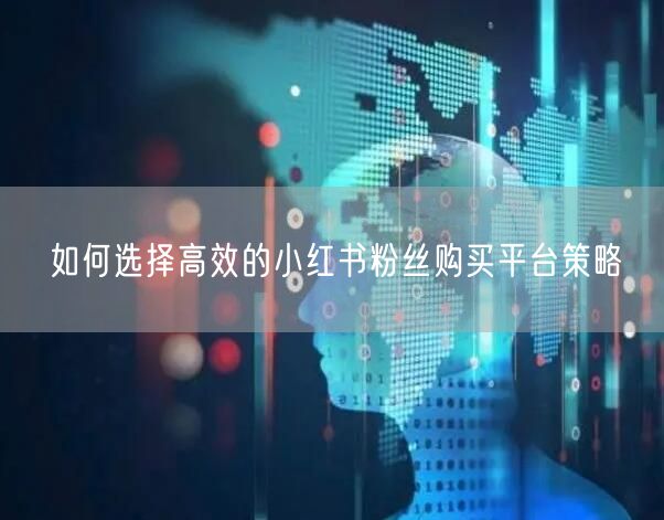 如何选择高效的小红书粉丝购买平台策略