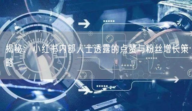 揭秘：小红书内部人士透露的点赞与粉丝增长策略