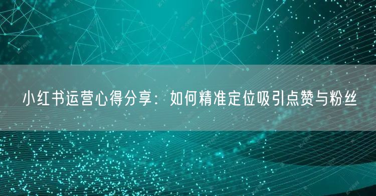 小红书运营心得分享：如何精准定位吸引点赞与粉丝